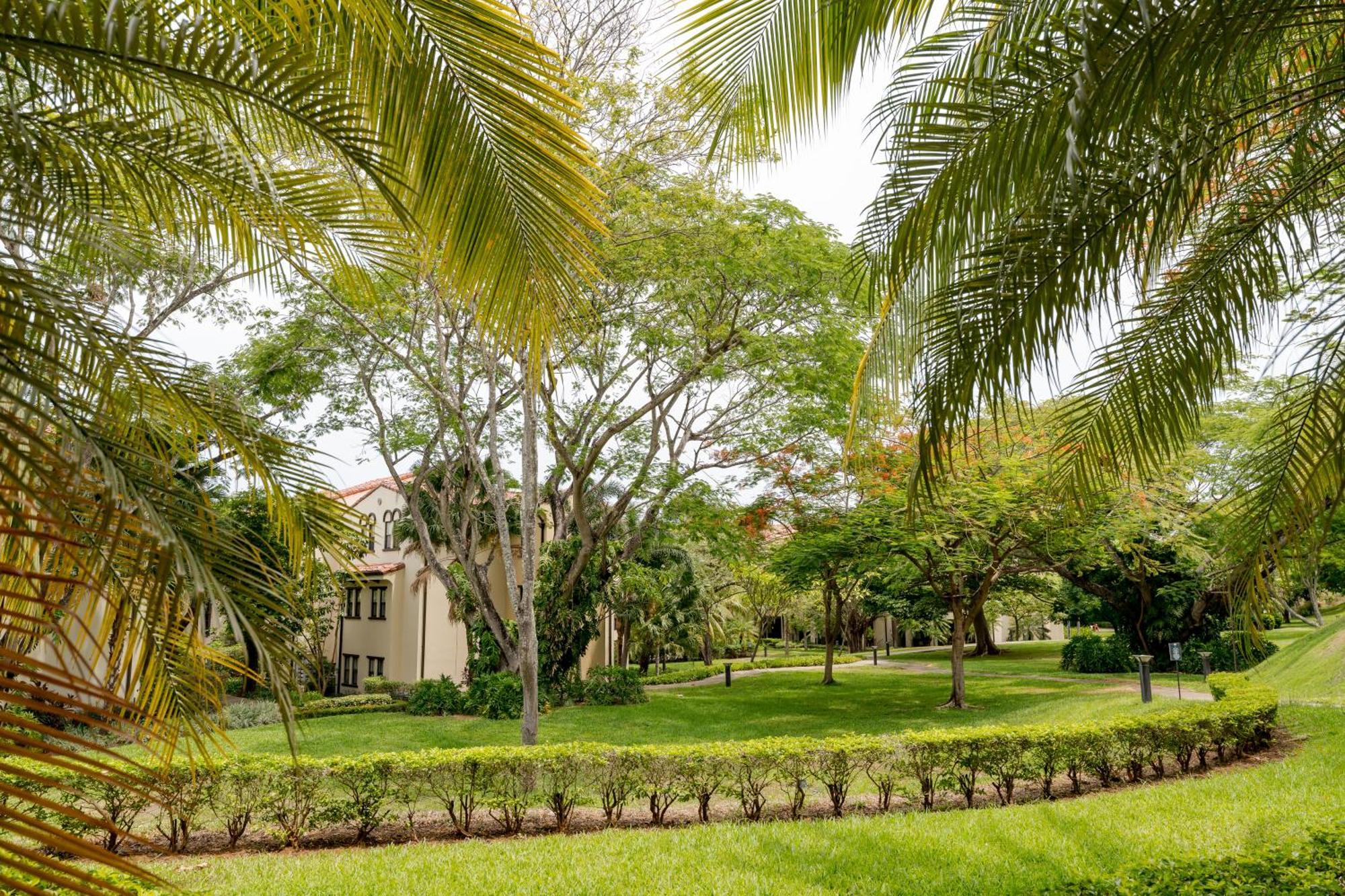 Coco Breeze Private Residence Екстериор снимка